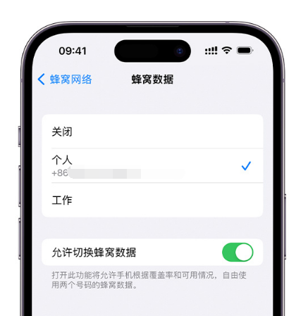 宜川苹果维修服务分享如何在iPhone上使用双卡 